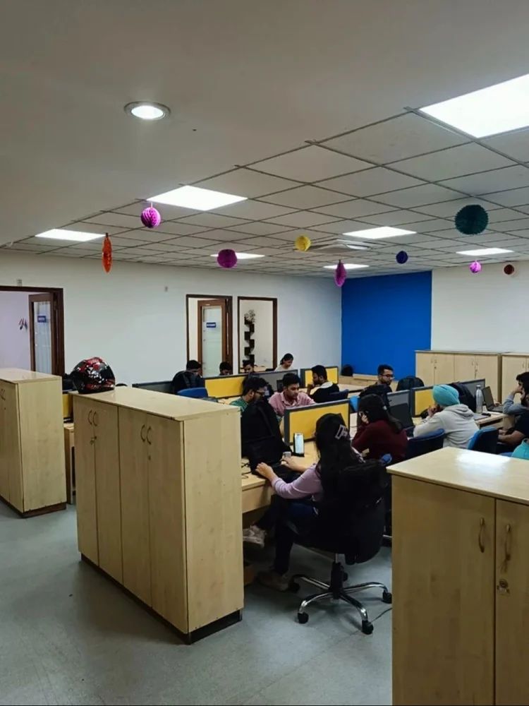 Our team working on innovative solutions